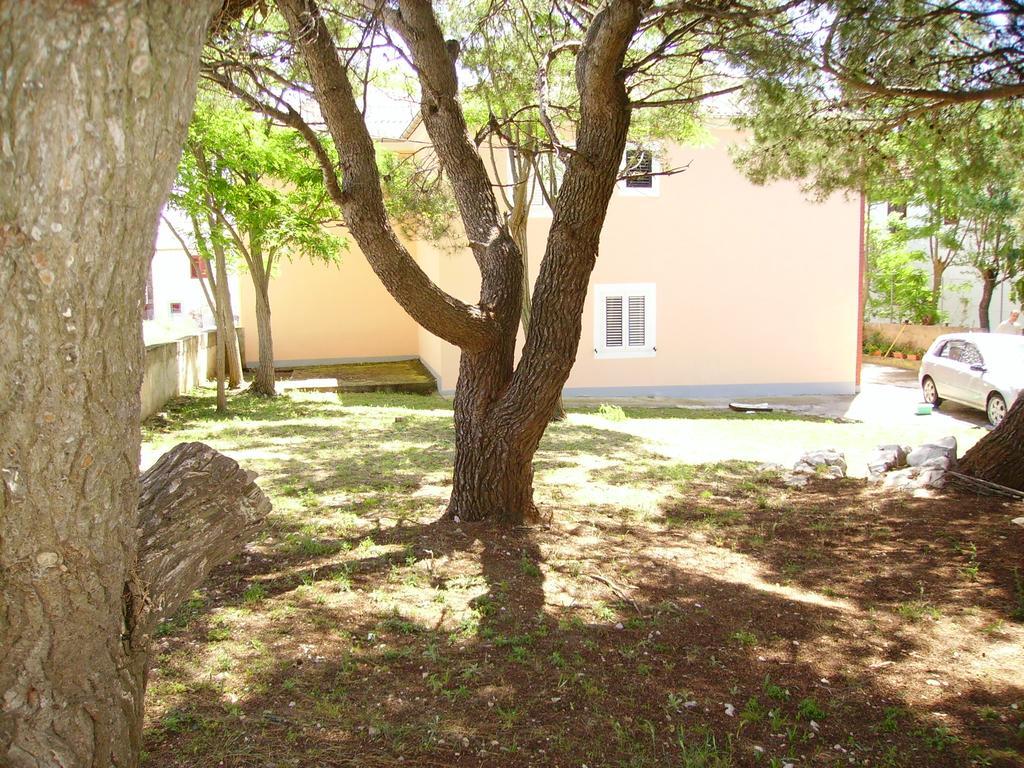 Apartments Anka Privlaka  Εξωτερικό φωτογραφία